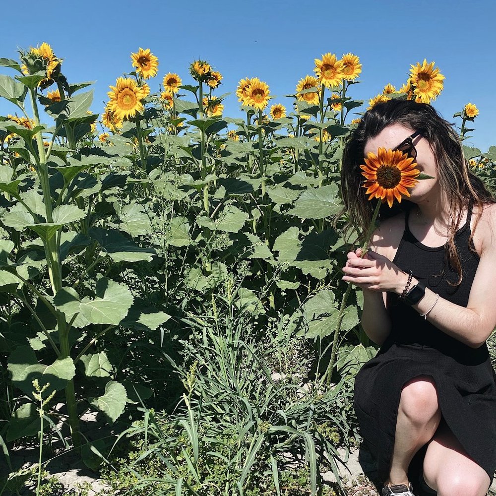 ❋ alpine lavender ❋